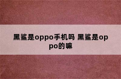 黑鲨是oppo手机吗 黑鲨是oppo的嘛